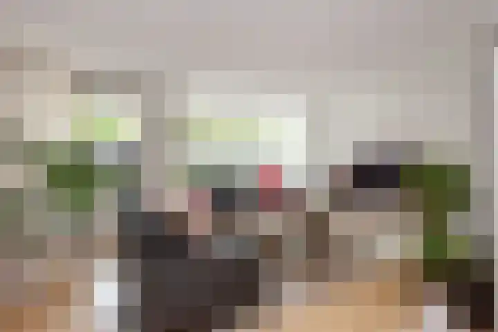 Vesting 5 Wijk bij Duurstede thumbnail 6