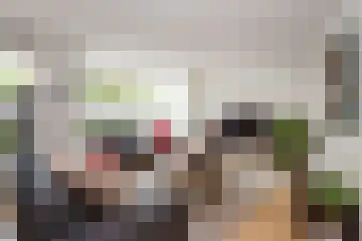 Vesting 5 Wijk bij Duurstede thumbnail 7