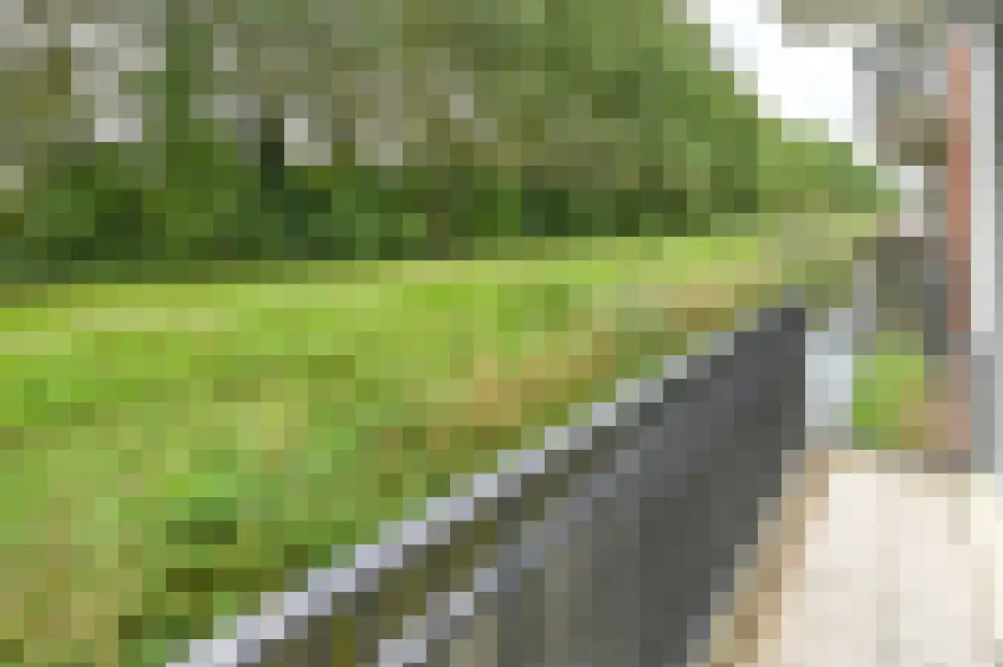 Vesting 6 Vijfhuizen thumbnail 20