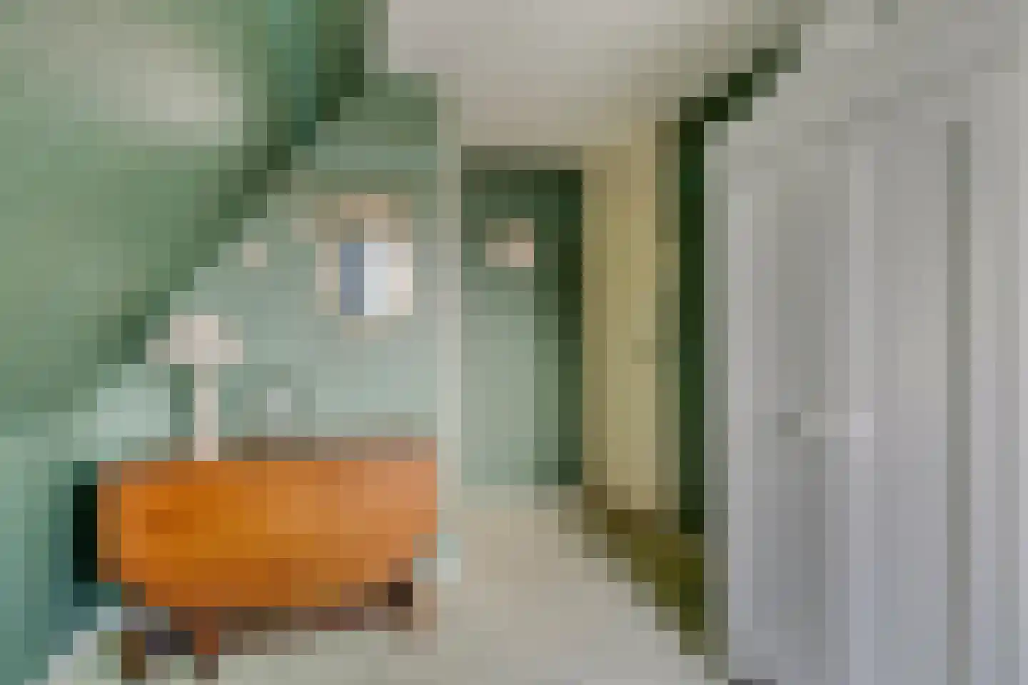 Vesting 8 Monnickendam thumbnail 35