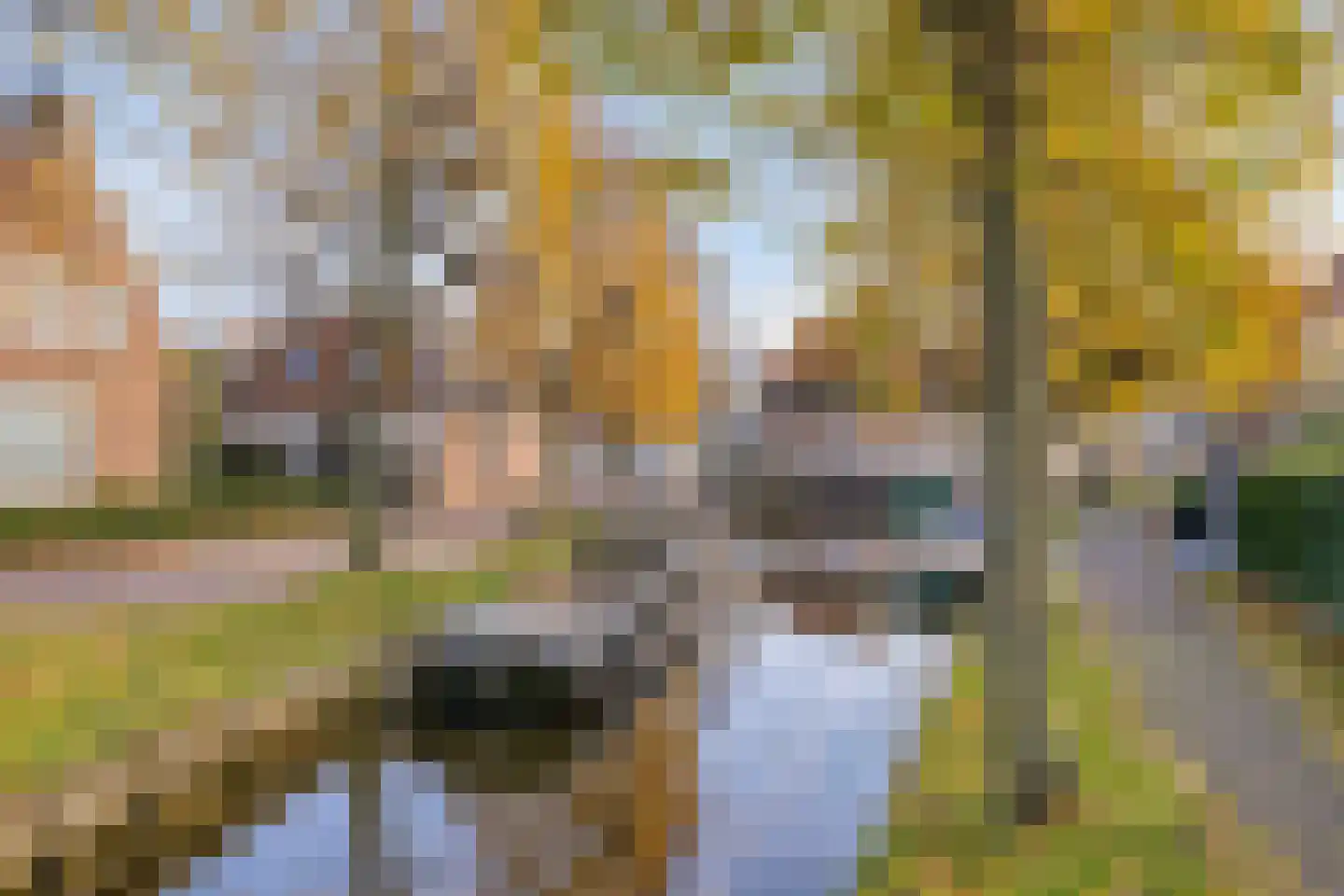 Vesting 8 Monnickendam thumbnail 51