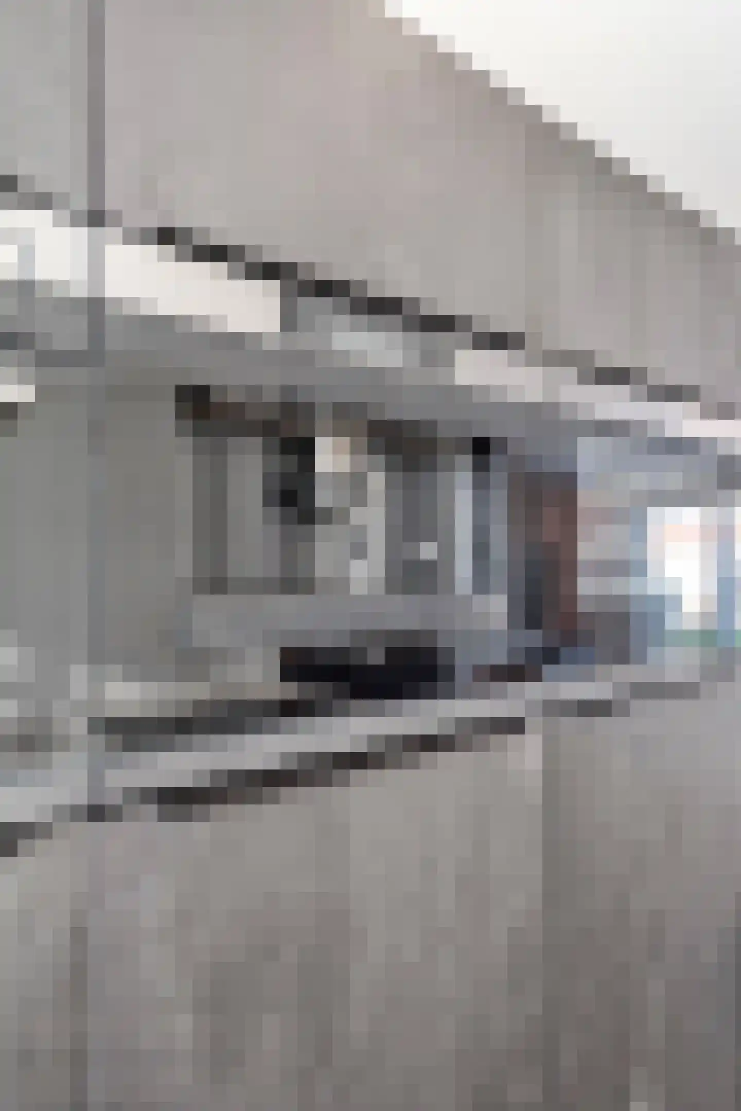Vesting 8 Steenbergen thumbnail 57