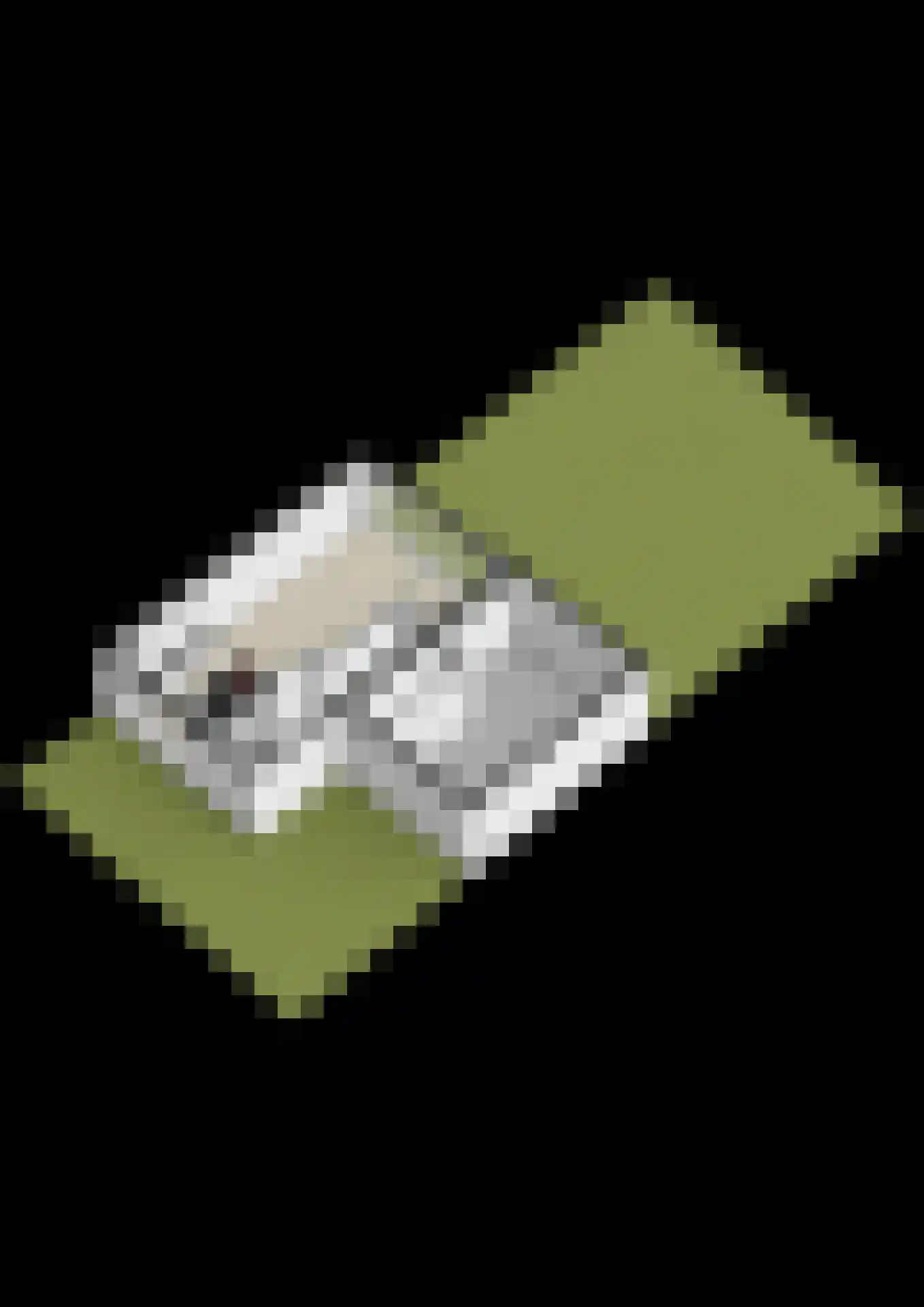 Vesting 8 Steenbergen thumbnail 67