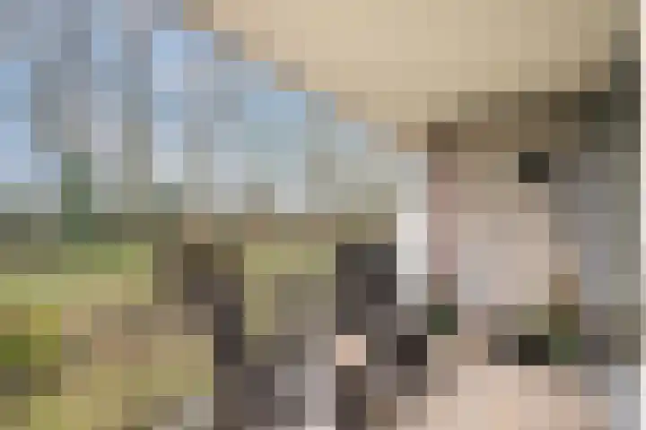 Vesting 8 Vijfhuizen thumbnail 12