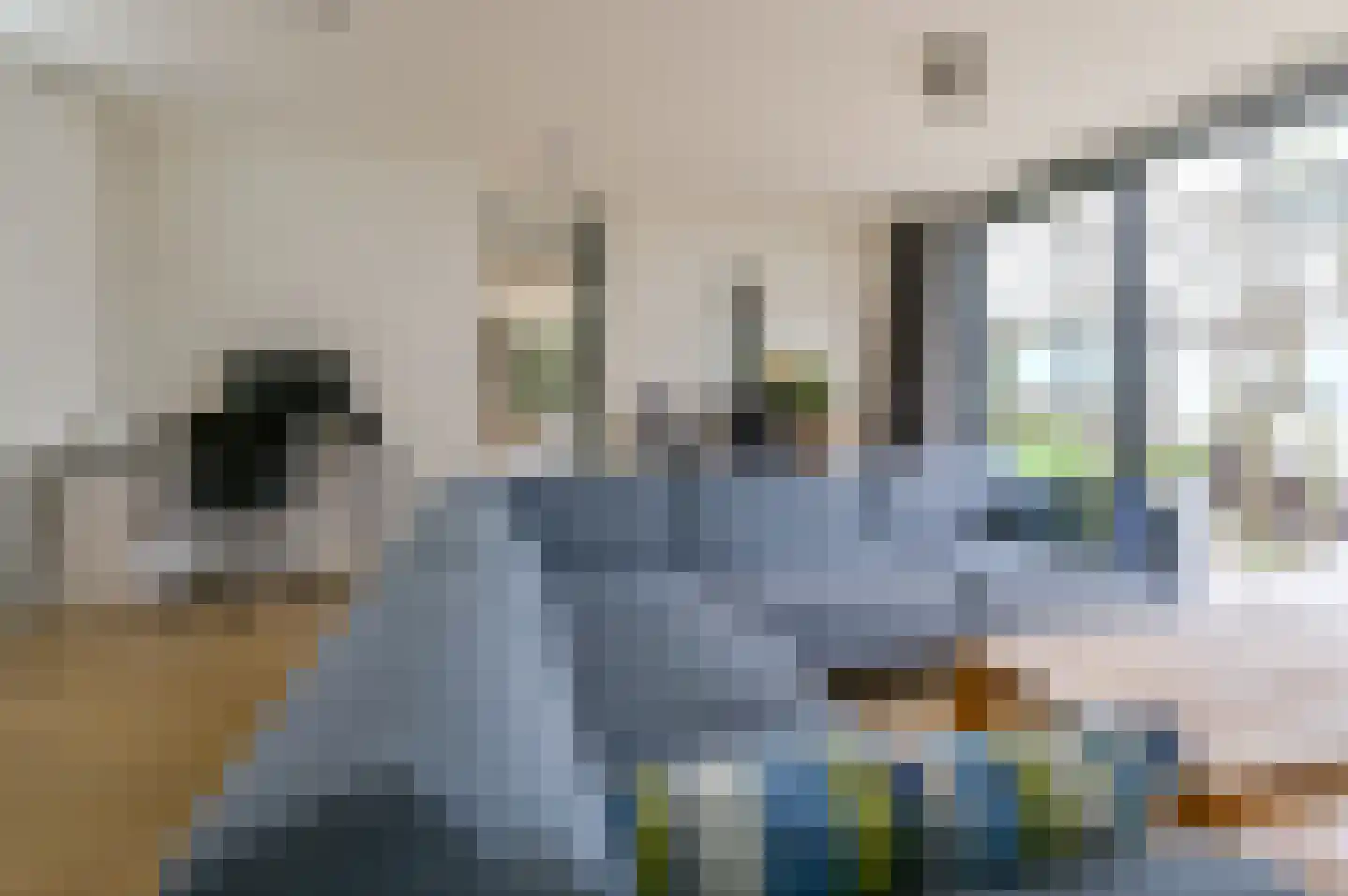 Vesting 9 Vijfhuizen thumbnail 7