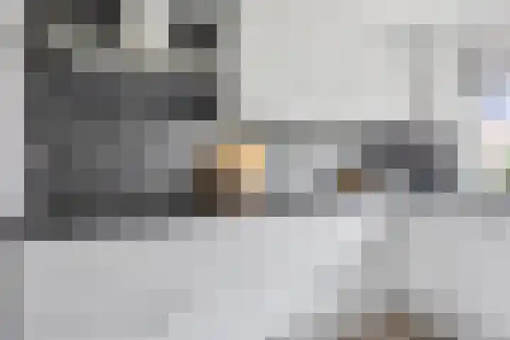 Vestingsmuur 6 Houten thumbnail 10