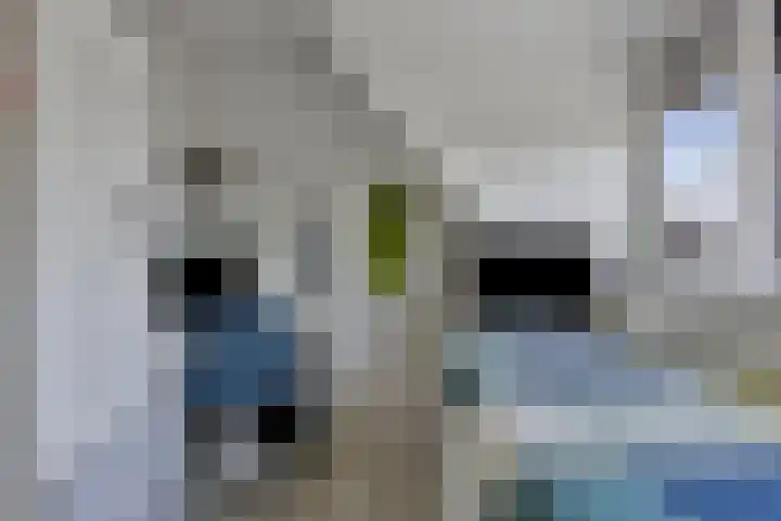 Vestingsmuur 6 Houten thumbnail 23