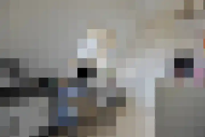 Vestingsmuur 6 Houten thumbnail 25