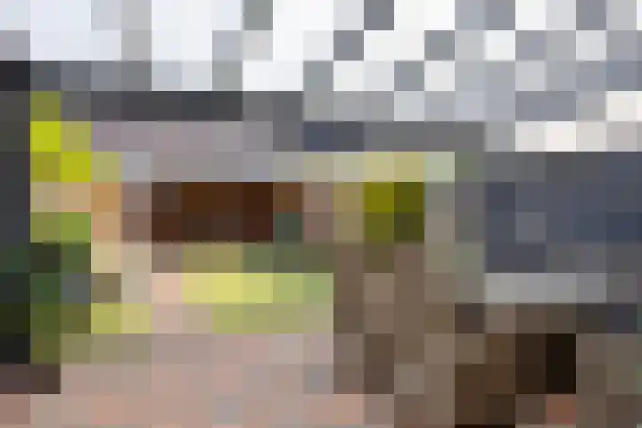 Vestingsmuur 6 Houten thumbnail 26