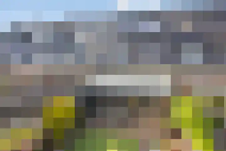 Vestingsmuur 6 Houten thumbnail 29