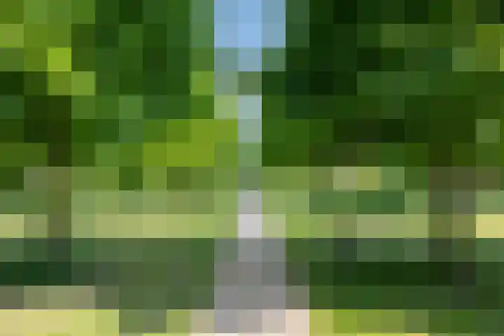 Vestingsmuur 6 Houten thumbnail 35