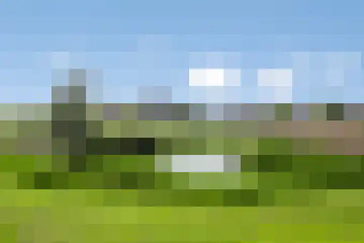 Vestingsmuur 6 Houten thumbnail 38