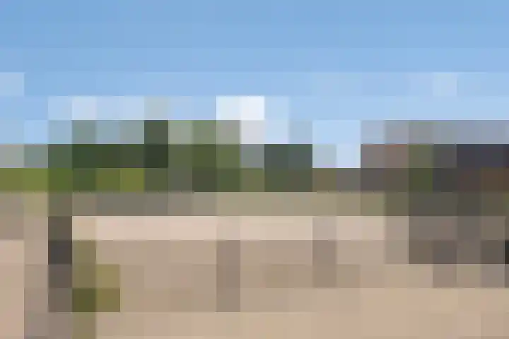 Vestingsmuur 6 Houten thumbnail 39