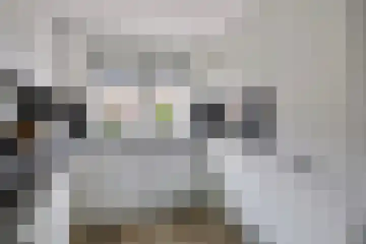Vestingsmuur 6 Houten thumbnail 4
