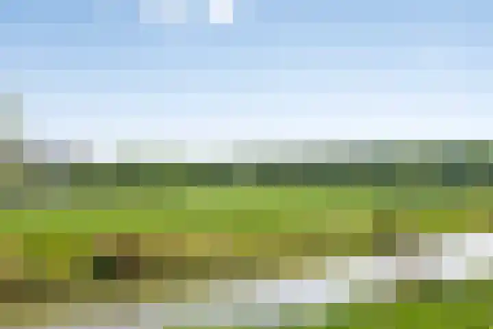 Vestingsmuur 6 Houten thumbnail 40