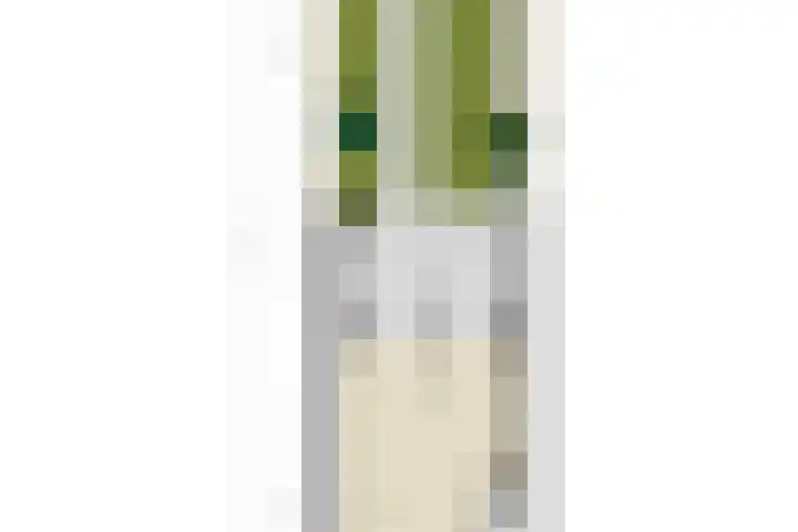 Vestingsmuur 6 Houten thumbnail 42
