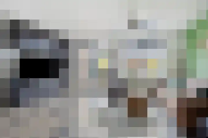 Vestingsmuur 6 Houten thumbnail 6
