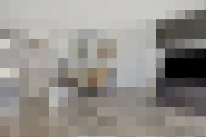 Vestingsmuur 6 Houten thumbnail 7