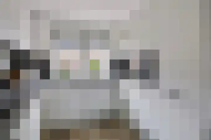 Vestingsmuur 6 Houten thumbnail 9