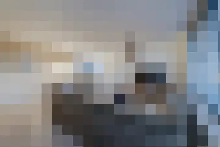 Vestingstraat 16 Geertruidenberg thumbnail 15