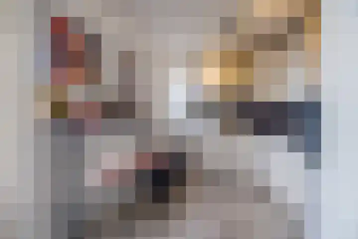 Vestingstraat 16 Geertruidenberg thumbnail 17