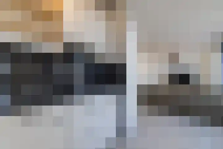 Vestingstraat 16 Geertruidenberg thumbnail 18