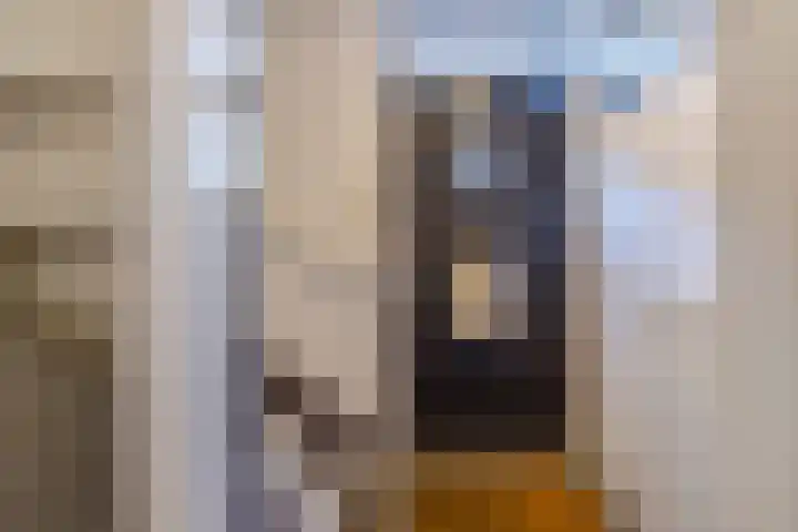 Vestingstraat 16 Geertruidenberg thumbnail 4