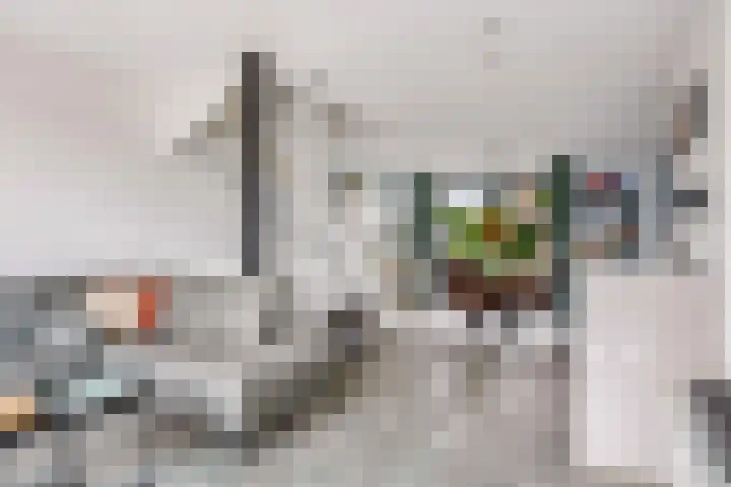 Vestingstraat 29 Zwolle thumbnail 14