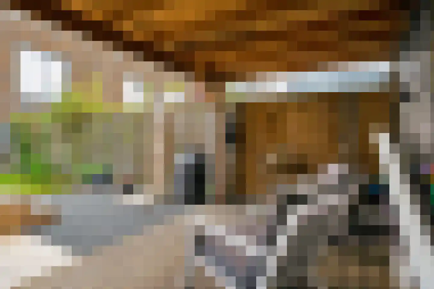 Vestingstraat 29 Zwolle thumbnail 38