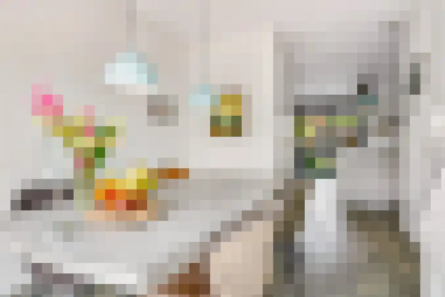 Vestingstraat 29 Zwolle thumbnail 6