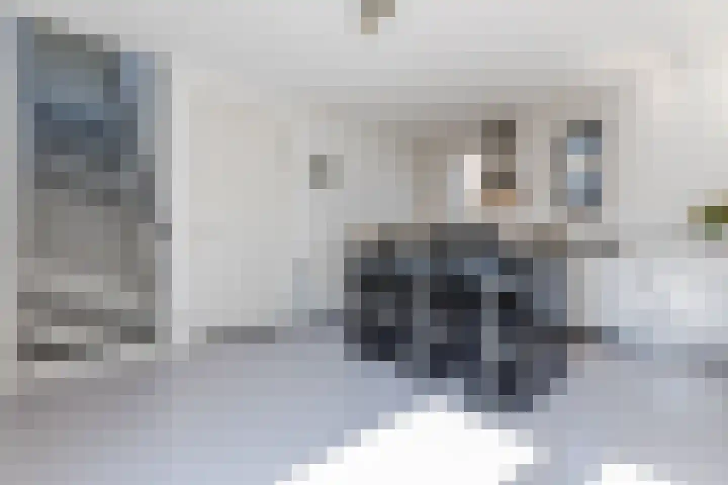 Vestingwal 1 Geldrop foto 3