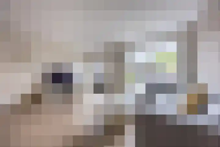 Vestingwal 21 Geldrop thumbnail 12