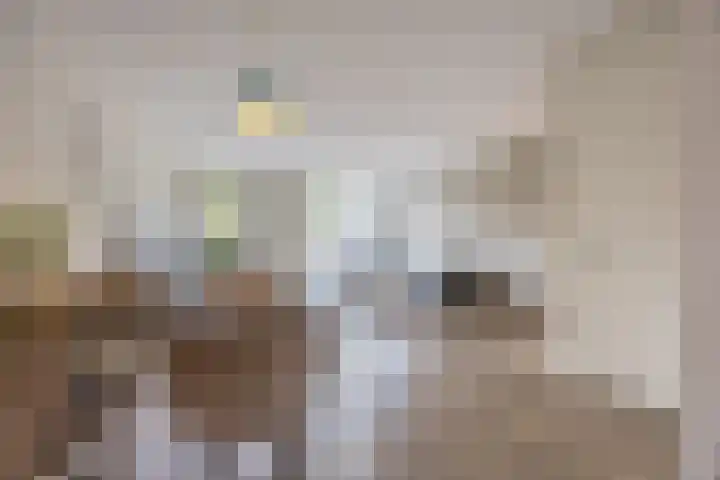 Vestingwal 21 Geldrop thumbnail 14