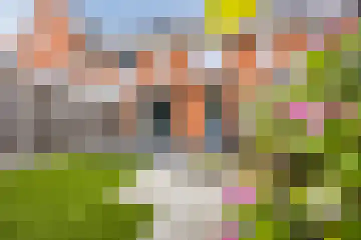 Vestingwal 21 Geldrop foto 2