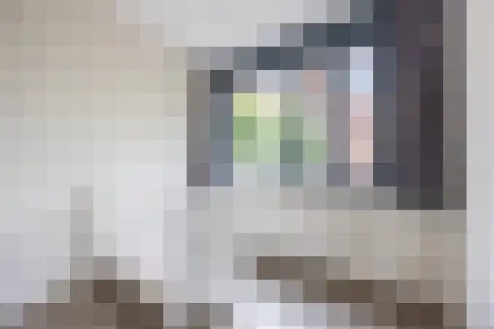 Vestingwal 21 Geldrop thumbnail 24