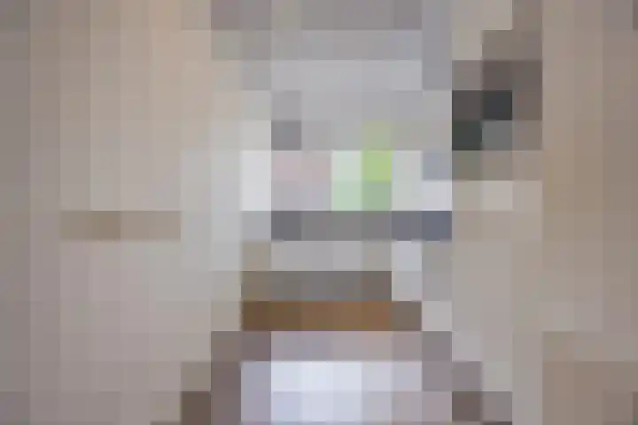 Vestingwal 21 Geldrop thumbnail 4