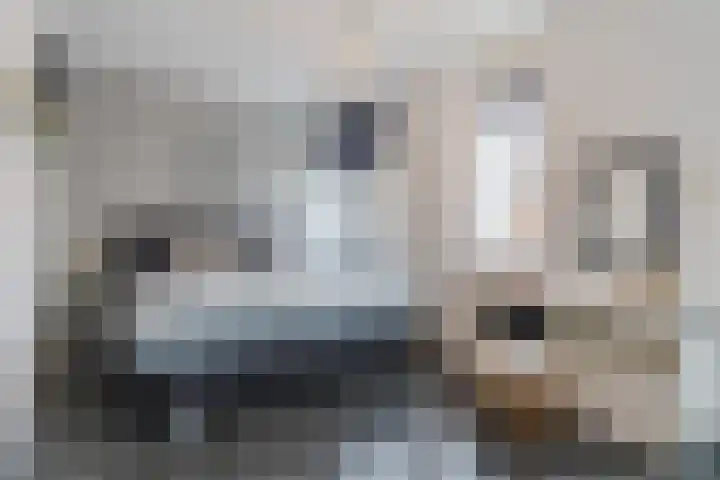 Vestingwal 25 Geldrop thumbnail 26