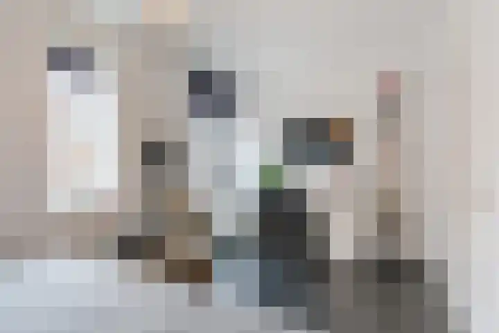 Vestingwal 25 Geldrop thumbnail 27