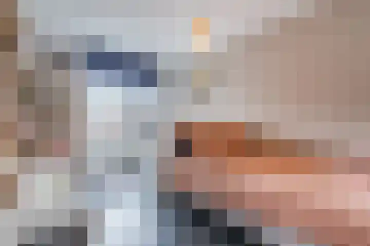 Vestingwal 25 Geldrop thumbnail 28