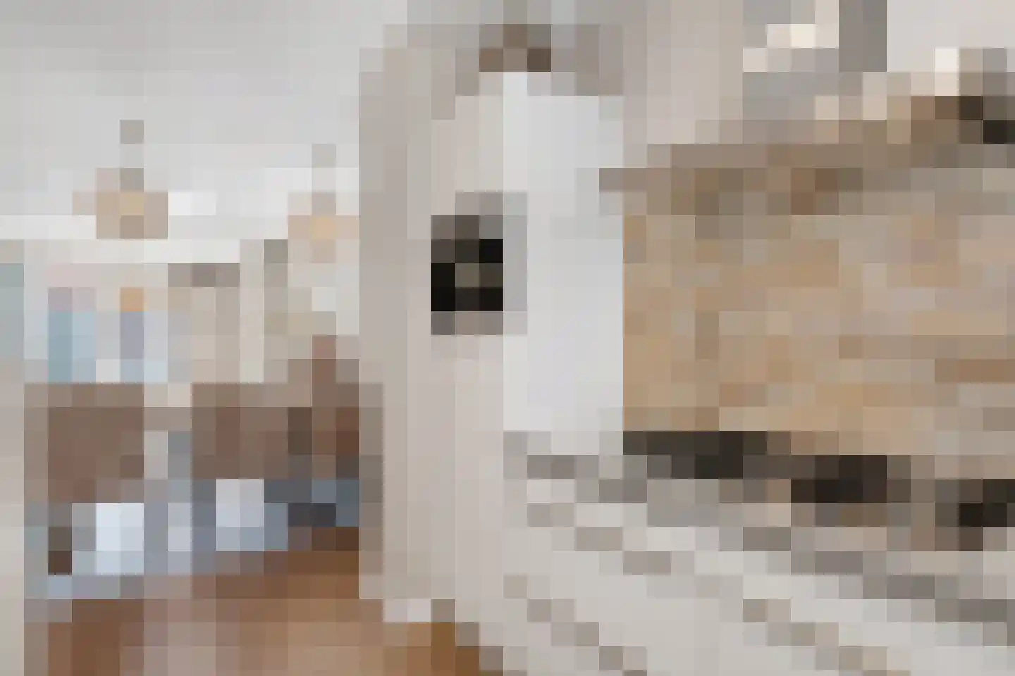 Vestingwal 29 Geldrop thumbnail 15