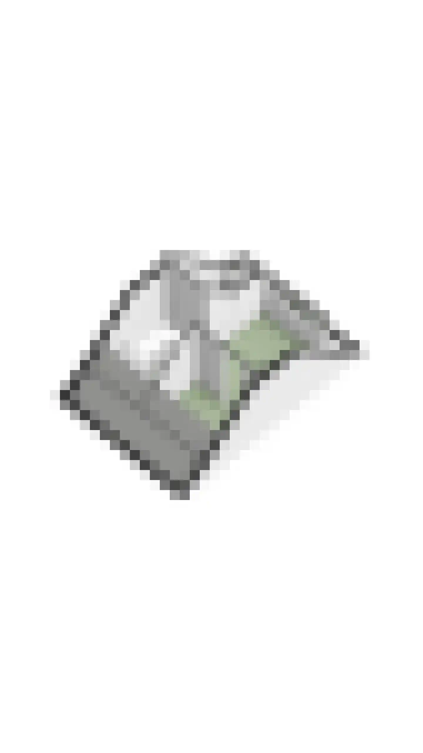 Vestingwal 29 Geldrop thumbnail 57