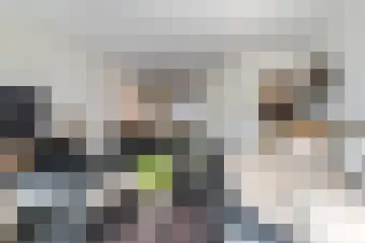 Vestingwal 37 Geldrop thumbnail 15