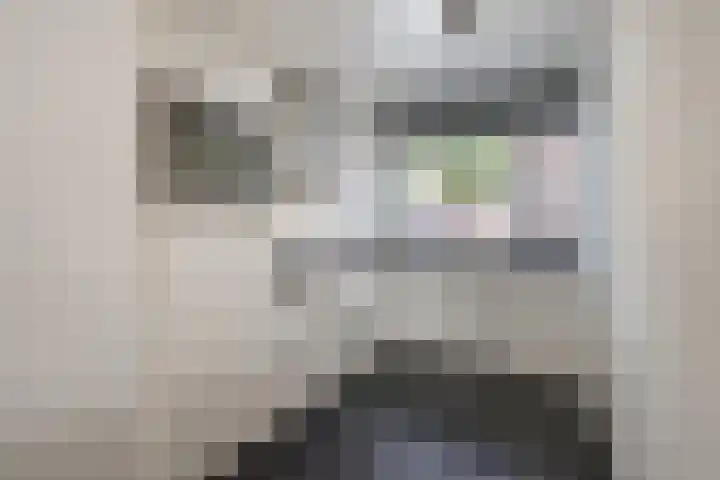 Vestingwal 37 Geldrop thumbnail 20