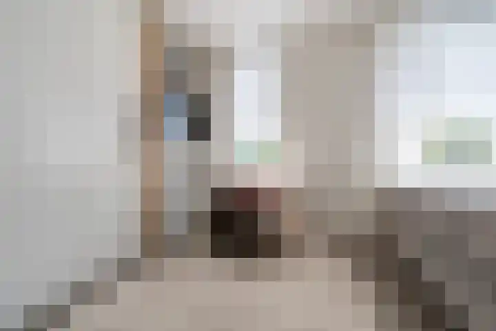 Vestingwal 37 Geldrop thumbnail 23