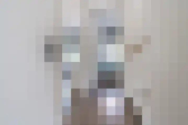 Vestingwal 37 Geldrop thumbnail 30