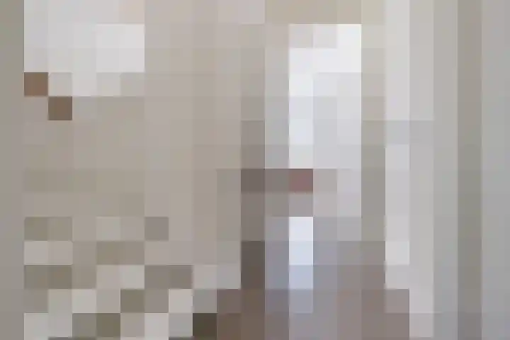 Vestingwal 37 Geldrop thumbnail 31