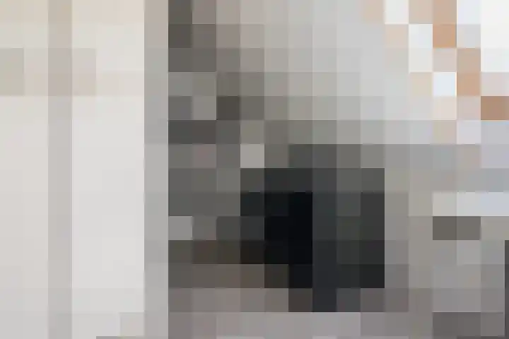 Vestingwal 37 Geldrop thumbnail 37