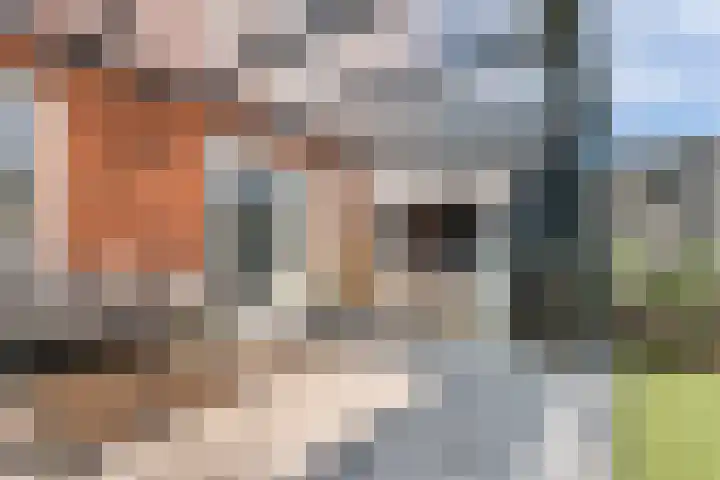Vestingwal 37 Geldrop thumbnail 44