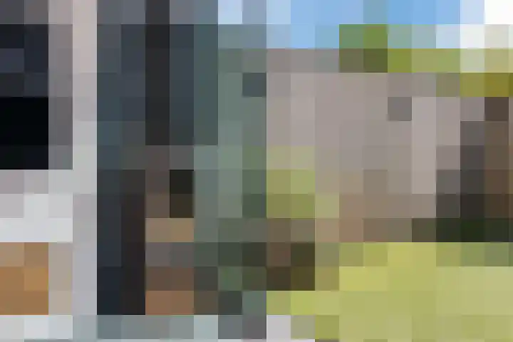 Vestingwal 37 Geldrop thumbnail 49