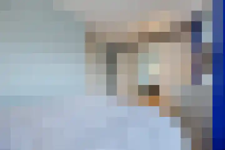 Vestingwal 47 B Geldrop thumbnail 18
